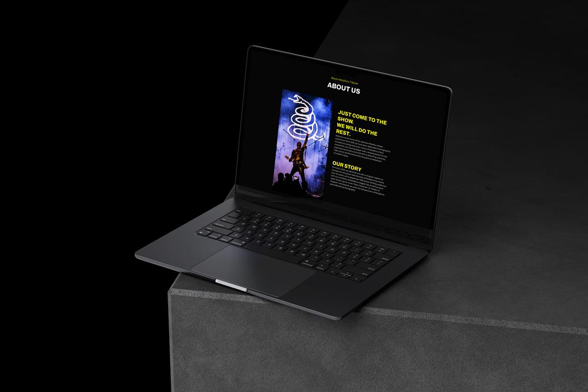 Black Metallica tribute. WordPress web prezentacija. web prezentacije za bendove